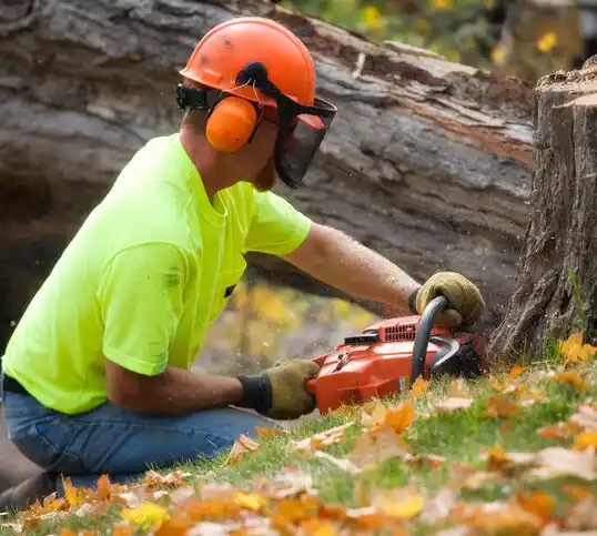 tree services Selma